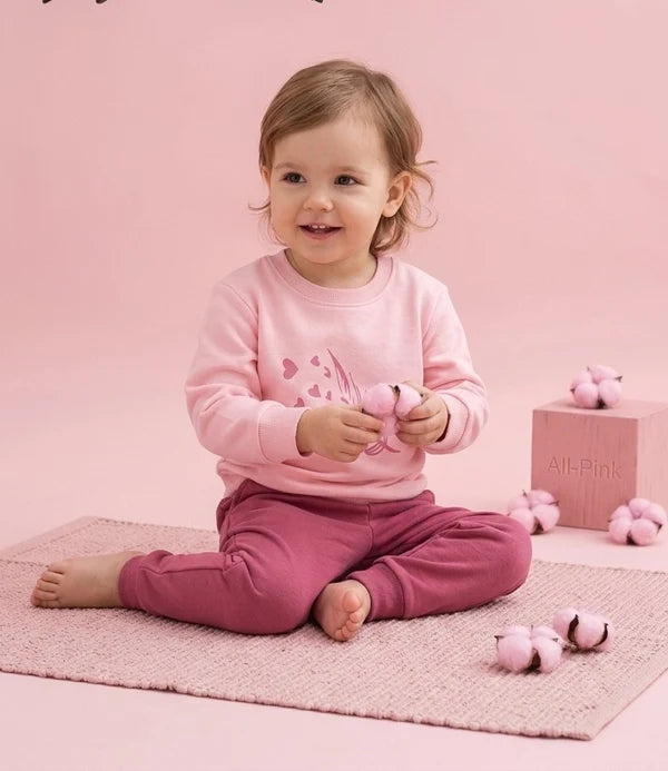 Baby Girl Pink Sweatshirt & Jogger Set